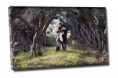 /album/fotogaleria/lienzo-foto-jpg1/